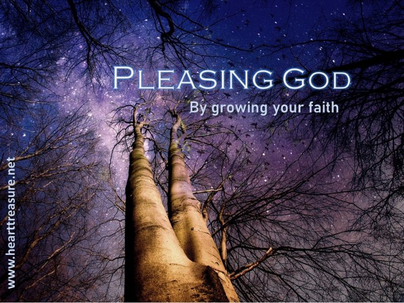 Pleasing God – Heart Treasure
